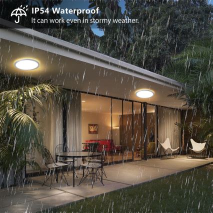 Brilagi - LED-kylpyhuoneen kattavalaisin ULTRA SLIM LED/12W/230V halkaisija 22,5 cm hopea IP54