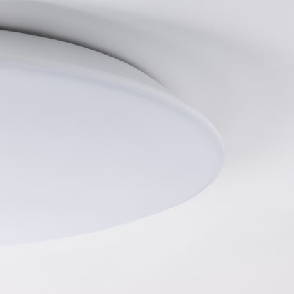 Brilagi - LED-kylpyhuoneen kattovalaisin VESTAS LED/18W/230V, halkaisija 28 cm, 4000K, IP54