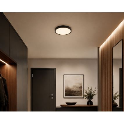 BRILAGI - ZENNA LED-kylpyhuoneen kattovalaisin, 18 W, 230 V, halkaisija 29,5 cm, IP44, musta