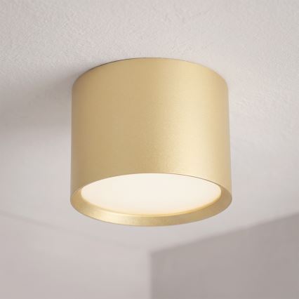 BRILAGI - LED Kylpyhuoneen kohdevalaisin SMOOTH 1xGX53/15W/230V 60x82 mm kultainen IP54