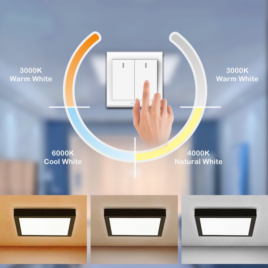 Brilagi - LED-kattovalaisin kylpyhuoneeseen FRAME LED/24W/230V 30x30 cm 3000/4000/6000K IP44 musta