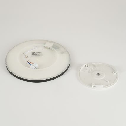 Brilagi - LED-kattovalaisin kylpyhuoneeseen ULTRA SLIM LED/12W/230V halkaisija 22,5 cm musta IP54