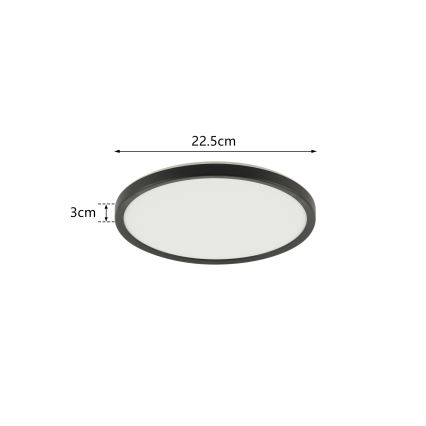 Brilagi - LED-kattovalaisin kylpyhuoneeseen ULTRA SLIM LED/12W/230V halkaisija 22,5 cm musta IP54