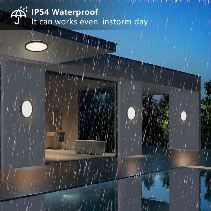 Brilagi - LED-kattovalaisin kylpyhuoneeseen ULTRA SLIM LED/18W/230V halkaisija 30 cm musta IP54