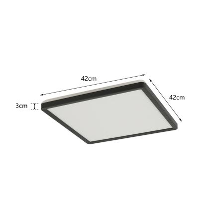 Brilagi - LED-kattovalaisin kylpyhuoneeseen ULTRA SLIM LED/24W/230V 42x42 cm musta IP54