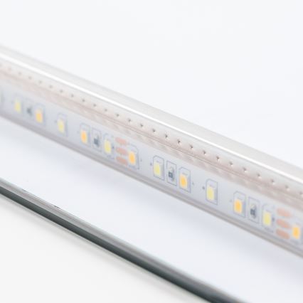 Brilagi - LED kylpyhuonepeili COMO LED/20W/230V 40x60 cm IP44 CRI 90 himmennettävä + CCT