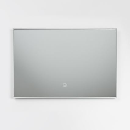 Brilagi - LED-kylpyhuonepeili DESIO LED/20W/230V 40x60 cm hopeanvärinen IP44 CRI 90 himmennettävä + CCT