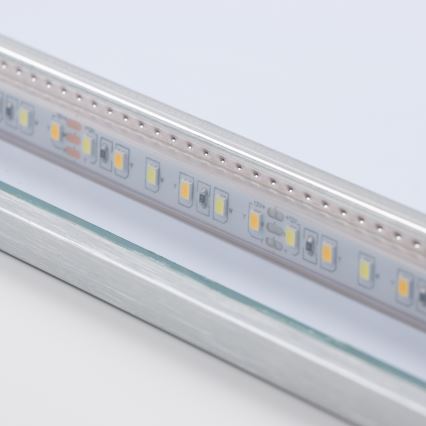 Brilagi - LED-kylpyhuonepeili DESIO LED/30W/230V 60x90 cm hopea IP44 CRI 90 himmennettävä + CCT