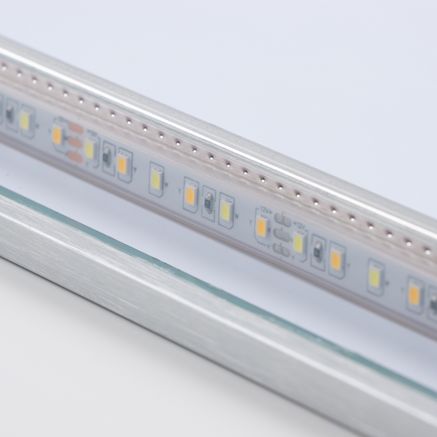 Brilagi - LED-kylpyhuonepeili DESIO LED/30W/230V 60x90 cm hopea IP44 CRI 90 himmennettävä + CCT