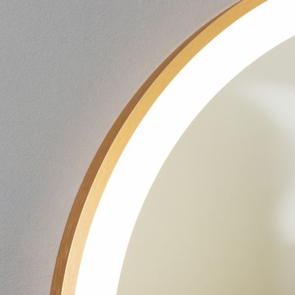 Brilagi - LED-kylpyhuonepeili ERBA LED/25W/230V 50x80 cm, kultainen, IP44, CRI 90, himmennettävä + CCT