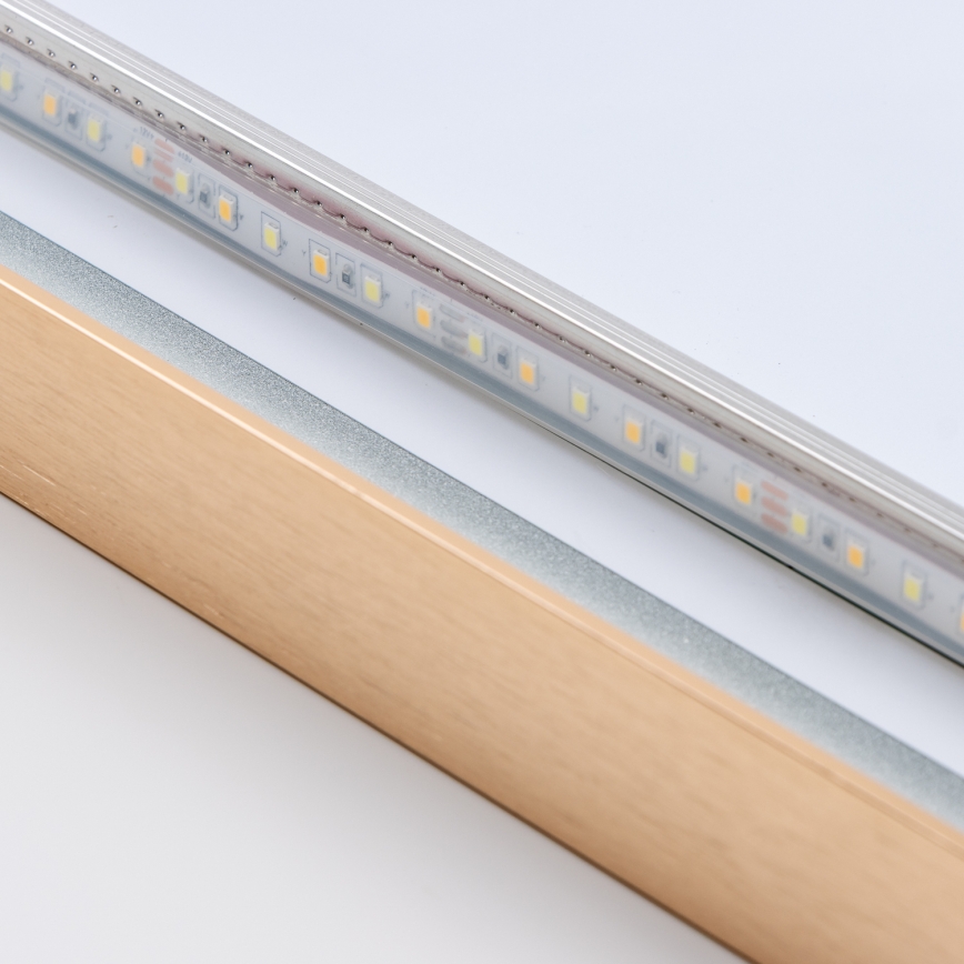 Brilagi - LED-kylpyhuonepeili ERBA LED/25W/230V 50x80 cm, kultainen, IP44, CRI 90, himmennettävä + CCT