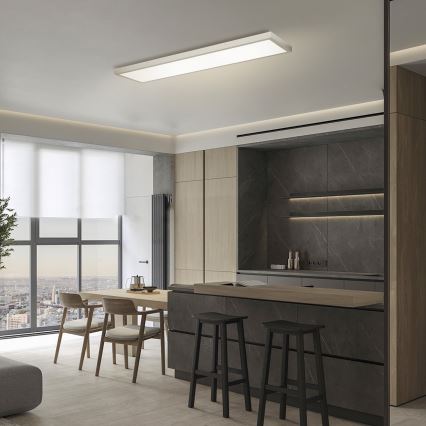 Brilagi - FRAME LED kylpyhuoneen kattovalaisin 50W/230V 3000/4000/6000K 120 x 30 cm IP44 hopea