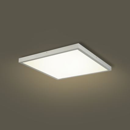 Brilagi - LED-kylpyhuoneen kattovalaisin FRAME LED/50W/230V 3000/4000/6000K 60x60 cm IP44 hopea