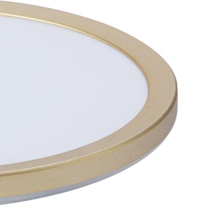 Brilagi - LED-kylpyhuoneen kattovalaisin ULTRA SLIM LED/12W/230V Ø 22,5 cm kultainen IP54