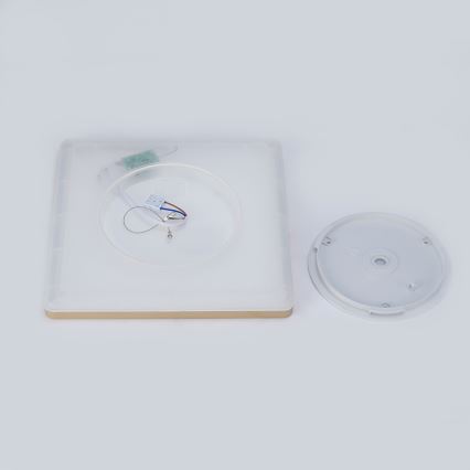 Brilagi - LED-kylpyhuoneen kattovalaisin ULTRA SLIM LED/18W/230V 30x30 cm kultainen IP54