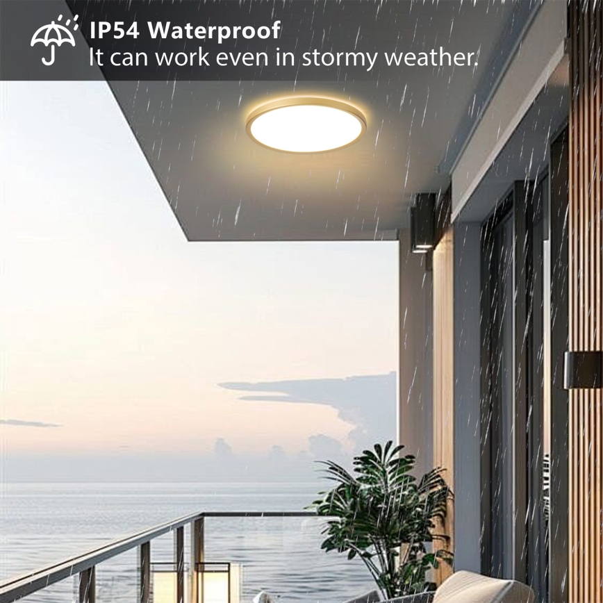 Brilagi - LED-kylpyhuoneen kattovalaisin ULTRA SLIM LED/24W/230V halkaisija 42 cm kultainen IP54