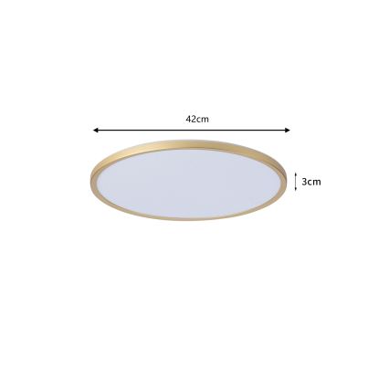 Brilagi - LED-kylpyhuoneen kattovalaisin ULTRA SLIM LED/24W/230V halkaisija 42 cm kultainen IP54