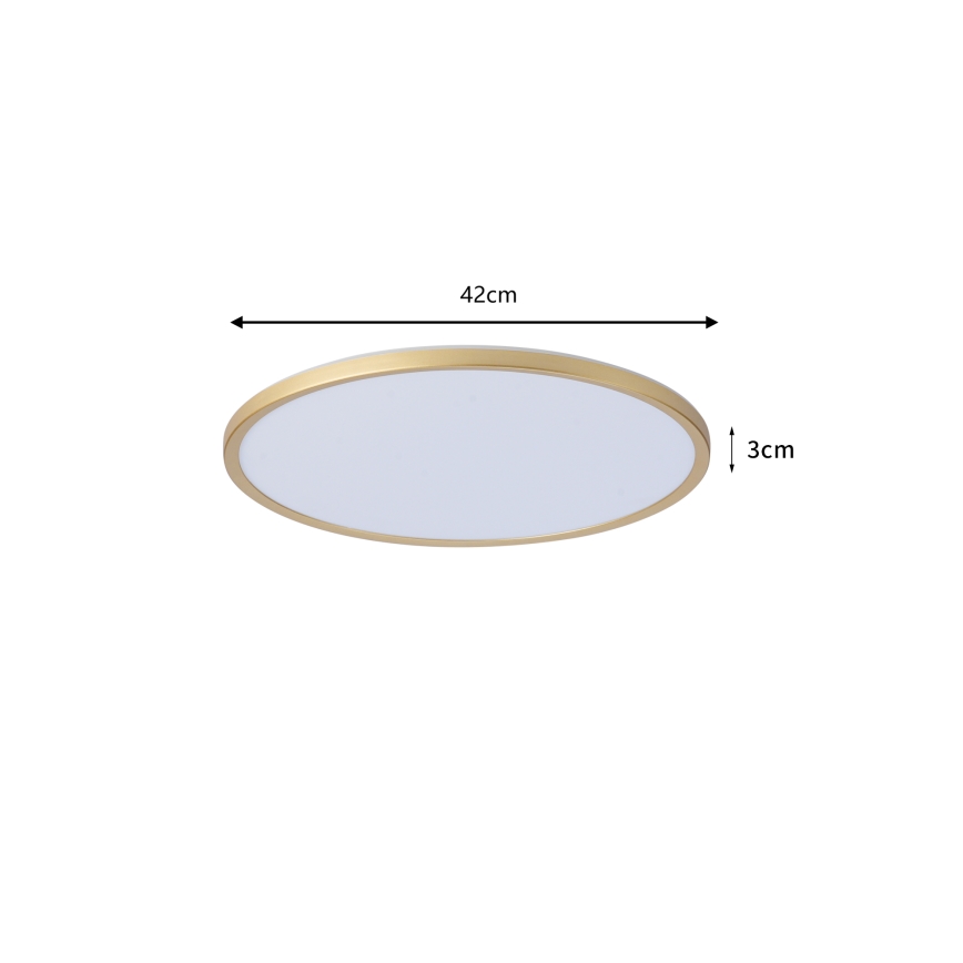 Brilagi - LED-kylpyhuoneen kattovalaisin ULTRA SLIM LED/24W/230V halkaisija 42 cm kultainen IP54
