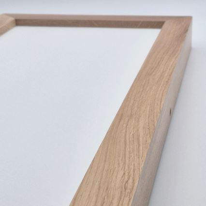 Brilagi - LED Kylpyhuoneen kattovalaisin WOODY FRAME LED/40W/230V 120x30 cm IP44 tammi