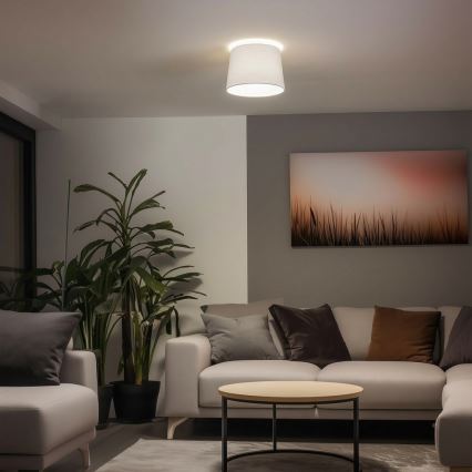 Brilagi - LED pinta-asennettava kattovalaisin CERIA 1xE27/40W/230V halkaisija 30 cm valkoinen