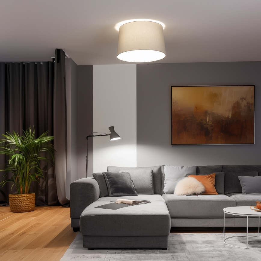 Brilagi - LED pinta-asennettava kattovalaisin CERIA 1xE27/40W/230V Ø 45 cm harmaa