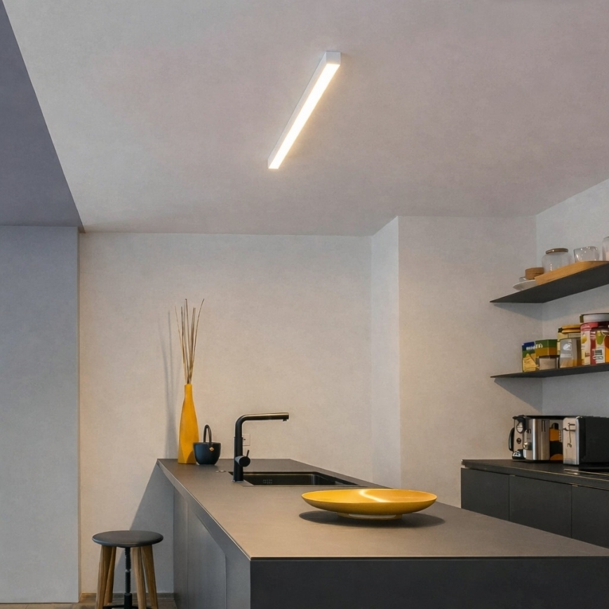 Brilagi - LED-pinta-asennettava kattovalaisin FULLDAY LED/10/15/20W/230V 2700/4000/6000K 60 cm valkoinen