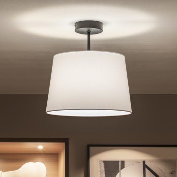 Brilagi - LED-pintakiinnitteinen kattovalaisin CERIA 1xE27/60W/230V halkaisija 30 cm musta/valkoinen