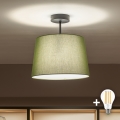 Brilagi - LED-pintakiinnitteinen kattovalaisin CERIA 1xE27/60W/230V Ø 30 cm musta/vihreä