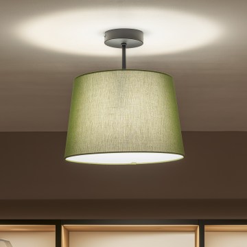 Brilagi - LED-pintakiinnitteinen kattovalaisin CERIA 1xE27/60W/230V Ø 30 cm musta/vihreä