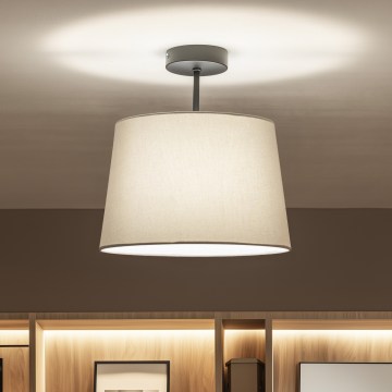 Brilagi - LED-pintavalaisin CERIA 1xE27/60W/230V Ø 30 cm musta/harmaa
