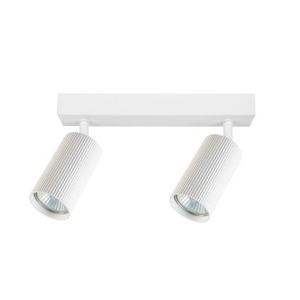 Brilagi - LED RGBW himmennettävä kohdevalaisin SELE MODERN 2xGU10/4,8W/230V 3000K valkoinen + kaukosäädin