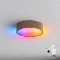 BRILAGI - LED RGBW himmennettävä kattovalaisin CLARE 1xE27/12W/230V halkaisija 20 cm ruskea