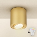 Brilagi - LED RGBW himmennettävä kohdevalaisin MIA 1xGU10/4,8W/230V 3000K 84x80 mm kullanvärinen + kaukosäädin