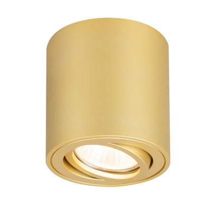 Brilagi - LED RGBW himmennettävä kohdevalaisin MIA 1xGU10/4,8W/230V 3000K 84x80 mm kullanvärinen + kaukosäädin
