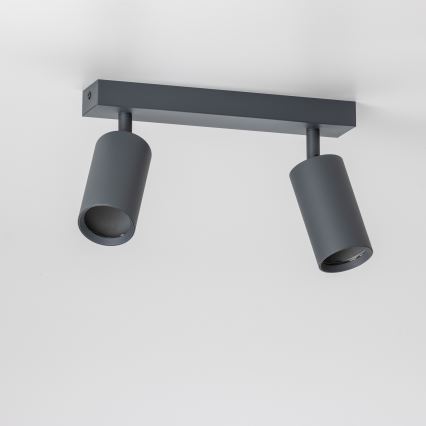Brilagi - himmennettävä LED RGBW-kohdevalaisin SELE 2xGU10/4,8W/230V 3000K antrasiitti + kaukosäädin