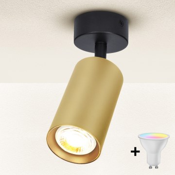 Brilagi - LED RGBW himmennettävä kohdevalaisin SELE GOLDEN 1xGU10/6W/230V 3000K musta/kultainen + kaukosäädin