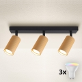 Brilagi - LED RGBW himmennettävä kohdevalaisin SELE MODERN 3xGU10/4,8W/230V 3000K, kultainen + kaukosäädin