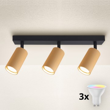 Brilagi - LED RGBW himmennettävä kohdevalaisin SELE MODERN 3xGU10/4,8W/230V 3000K, kultainen + kaukosäädin