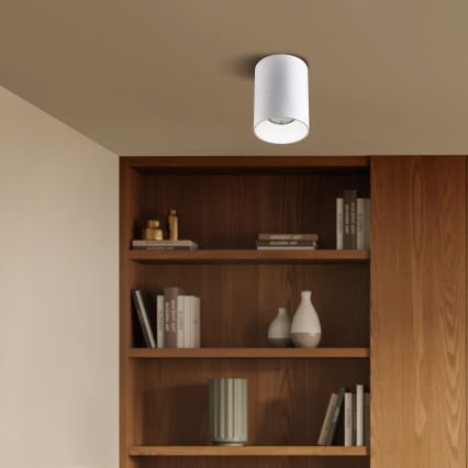 Brilagi - LED RGBW-himmennettävä kohdevalaisin TRINE 1xGU10/4,8W/230V 3000K valkoinen + kaukosäädin
