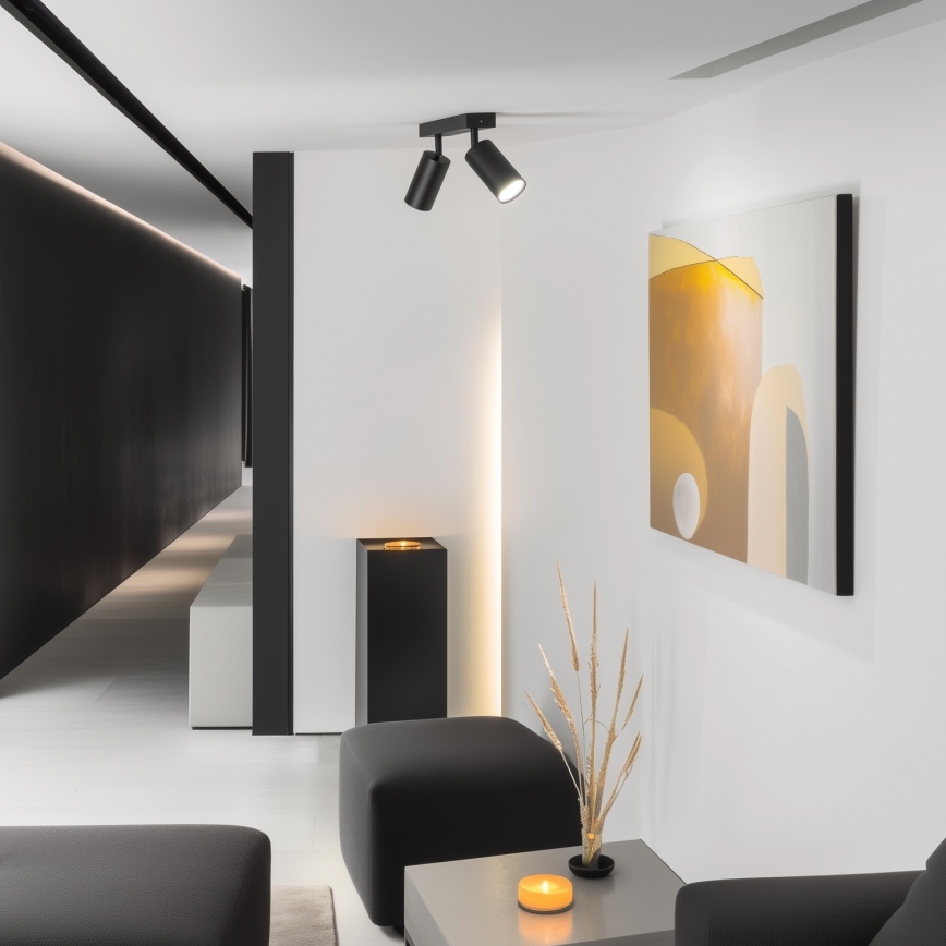 Brilagi - LED RGBW himmennettävä kohdevalaisin SELE 2xGU10/4,8W/230V 3000K musta + kaukosäädin