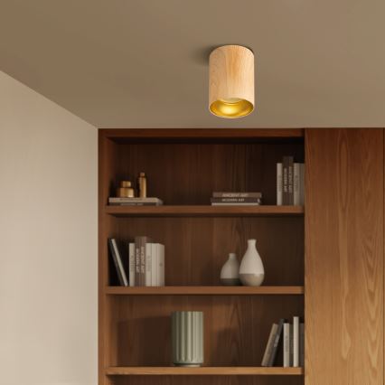 Brilagi - LED RGBW himmennettävä kohdevalaisin TRINE 1xGU10/4,8W/230V 3000K tammi-dekori + kaukosäädin