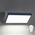 Brilagi - LED RGBW himmennettävä ulkoseinävalaisin TRIANGLE 1xE27/9W/230V 2700-6500K IP65 antrasiitti