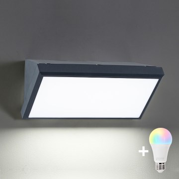 Brilagi - LED RGBW himmennettävä ulkoseinävalaisin TRIANGLE 1xE27/9W/230V 2700-6500K IP65 antrasiitti