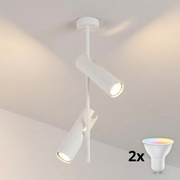 BRILAGI - LED RGBW himmennettävä varrellinen kattovalaisin BRANCH 2xGU10/6,5W/230V 2700-6500K valkoinen