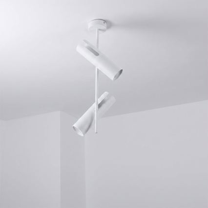 BRILAGI - LED RGBW himmennettävä varrellinen kattovalaisin BRANCH 2xGU10/6,5W/230V 2700-6500K valkoinen