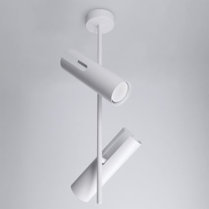 BRILAGI - LED RGBW himmennettävä varrellinen kattovalaisin BRANCH 2xGU10/6,5W/230V 2700-6500K valkoinen