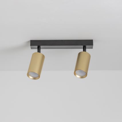 Brilagi - LED RGBW himmennettävä kohdevalaisin SELE GOLDEN 2xGU10/6W/230V 3000K musta/kultainen + kaukosäädin