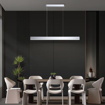 Brilagi - LED-riippuvalaisin köydellä SLEEKLINE LED/40W/230V 3000/4500/6000K hopea