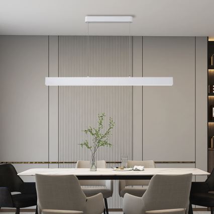 Brilagi - LED-riippuvalaisin köydellä SLEEKLINE LED/40W/230V 3000/4500/6000K valkoinen