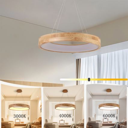Brilagi - LED-riippuvalaisin ripustuskaapelilla FALCON WOOD LED/40 W/230 V 3000/4000/6000 K Ø 60 cm puu